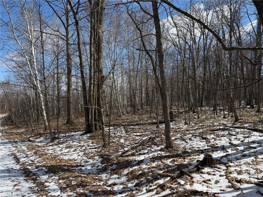 41273 Swede Alley Arlone Twp MN 55037 7049969 image63