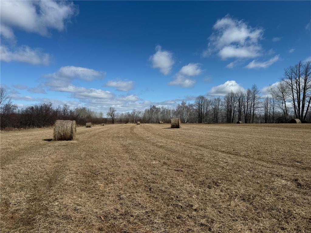 41273 Swede Alley Arlone Twp MN 55037 7049969 image64