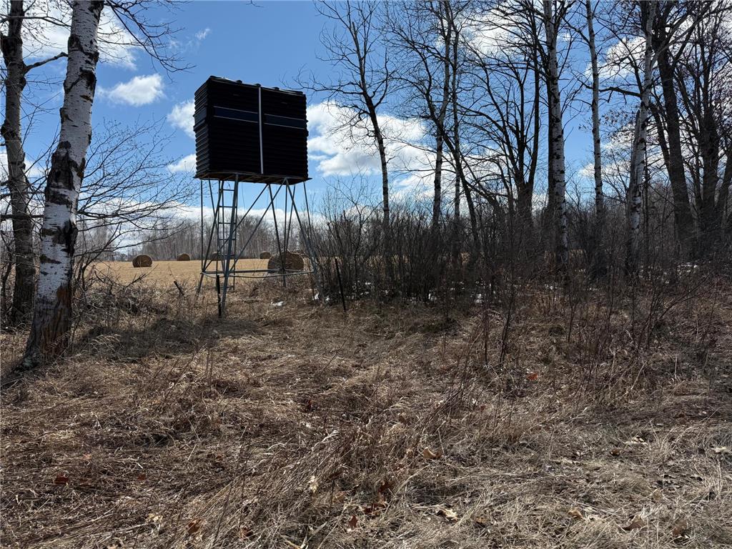 41273 Swede Alley Arlone Twp MN 55037 7049969 image67