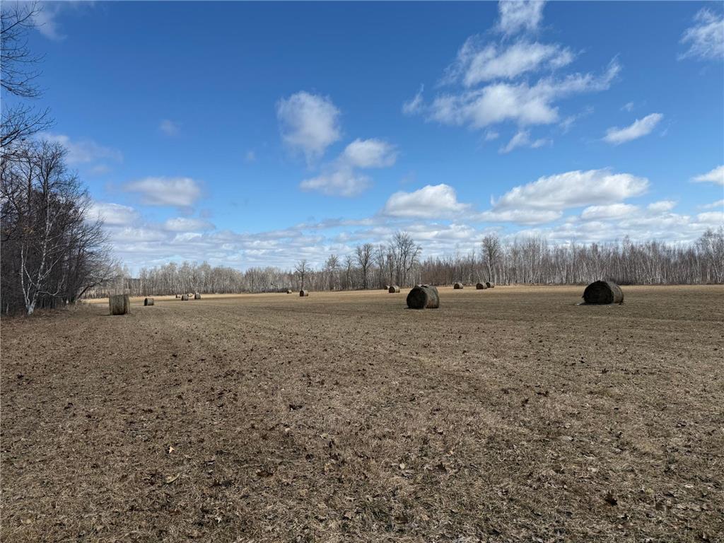 41273 Swede Alley Arlone Twp MN 55037 7049969 image68