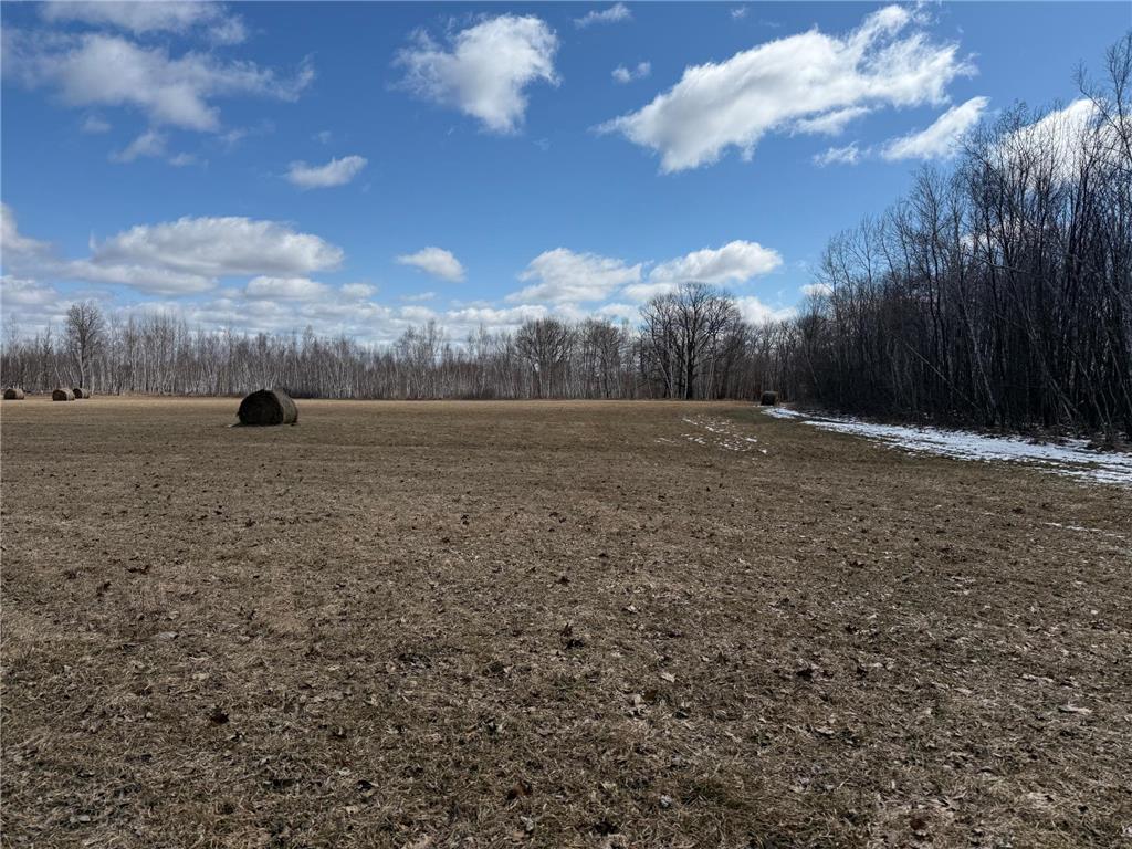 41273 Swede Alley Arlone Twp MN 55037 7049969 image69