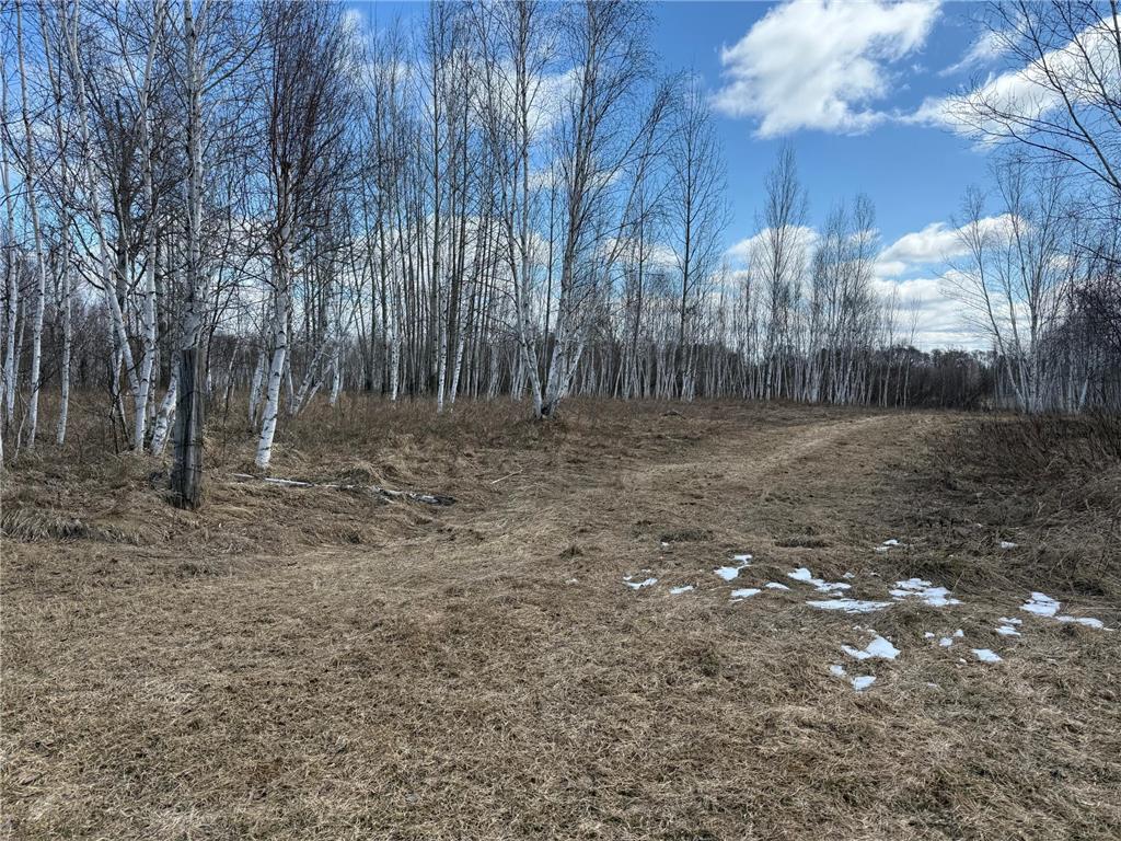 41273 Swede Alley Arlone Twp MN 55037 7049969 image71