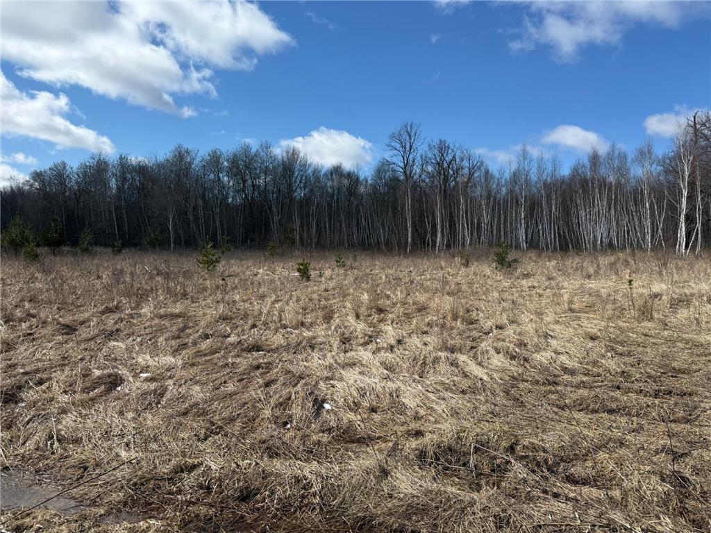 41273 Swede Alley Arlone Twp MN 55037 7049969 image72