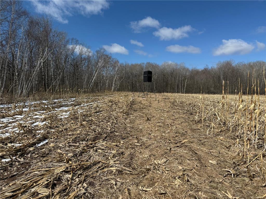 41273 Swede Alley Arlone Twp MN 55037 7049969 image74