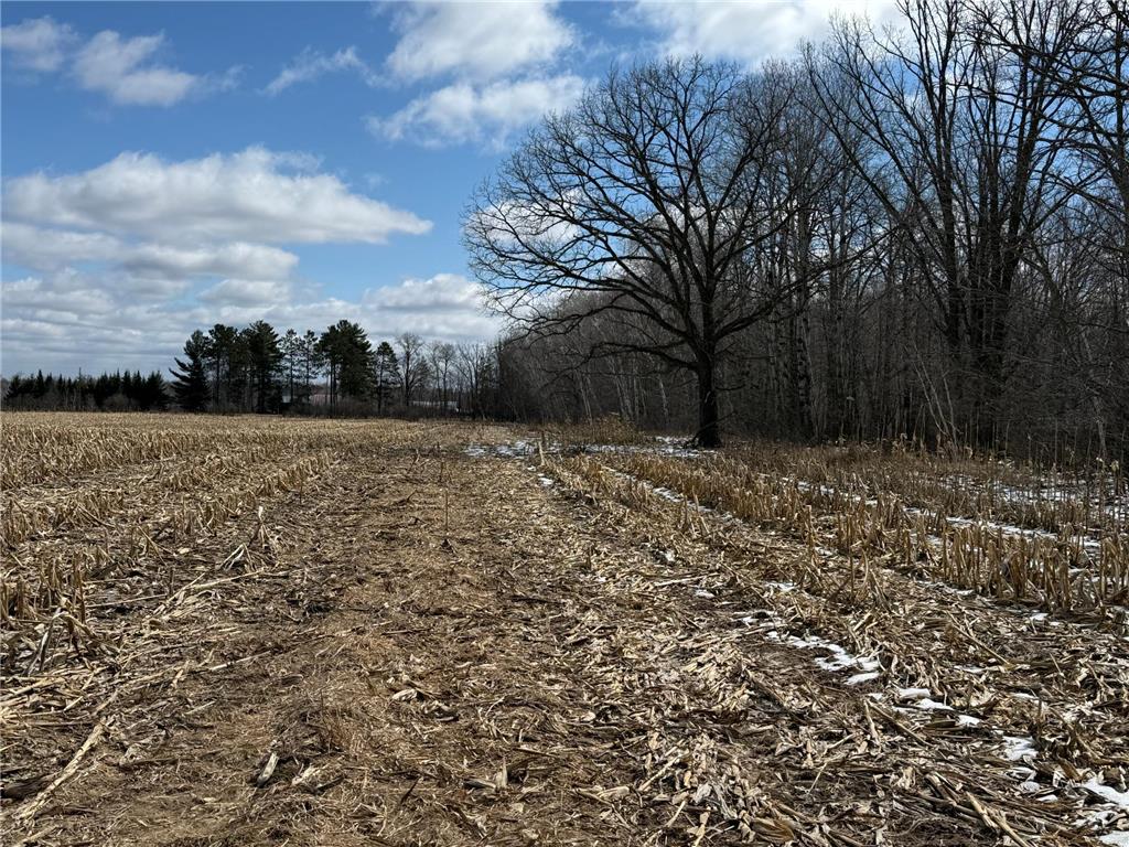41273 Swede Alley Arlone Twp MN 55037 7049969 image76