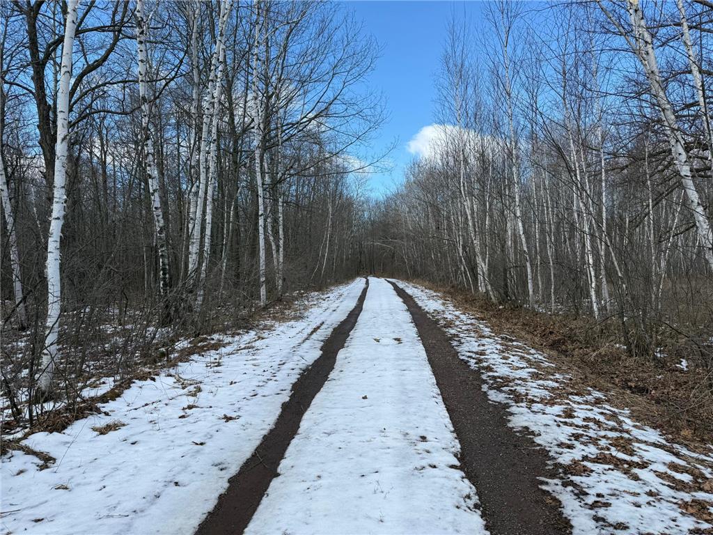 41273 Swede Alley Arlone Twp MN 55037 7049969 image78