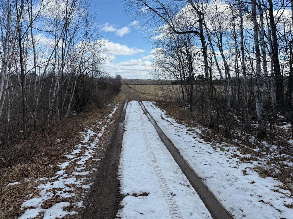 41273 Swede Alley Arlone Twp MN 55037 7049969 image79