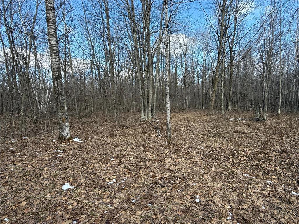 41273 Swede Alley Arlone Twp MN 55037 7049969 image81
