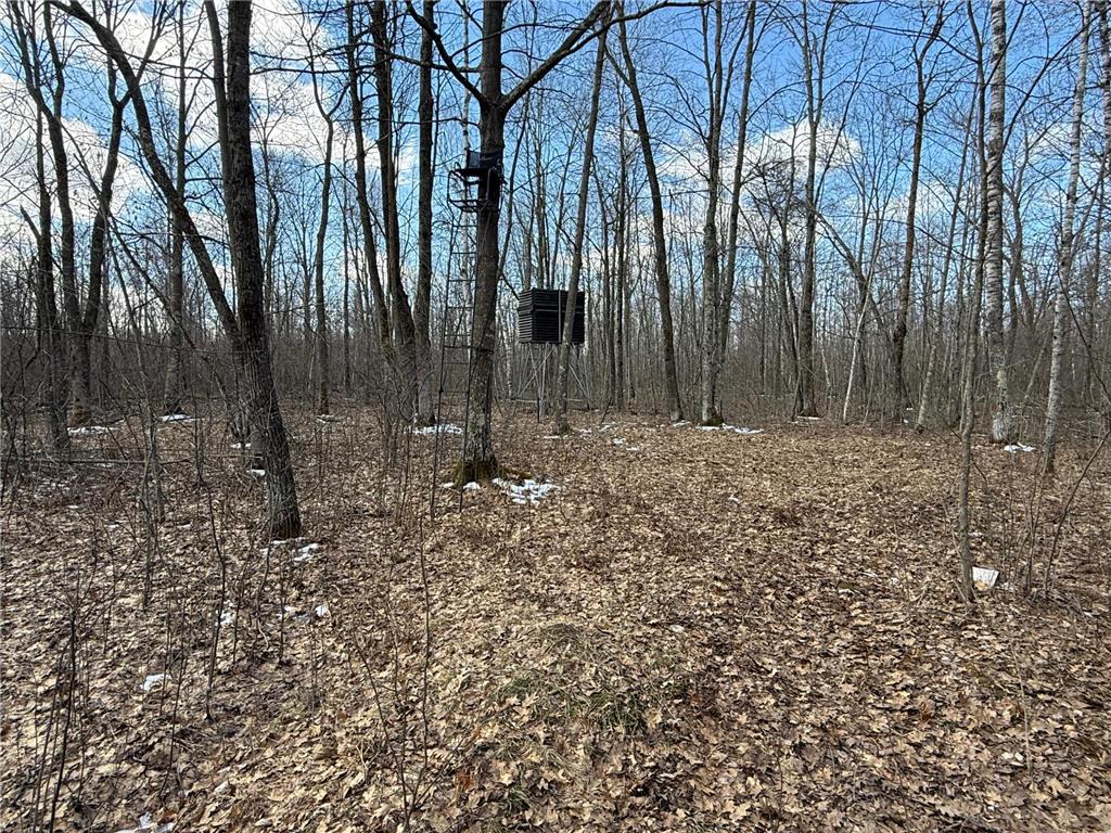 41273 Swede Alley Arlone Twp MN 55037 7049969 image82