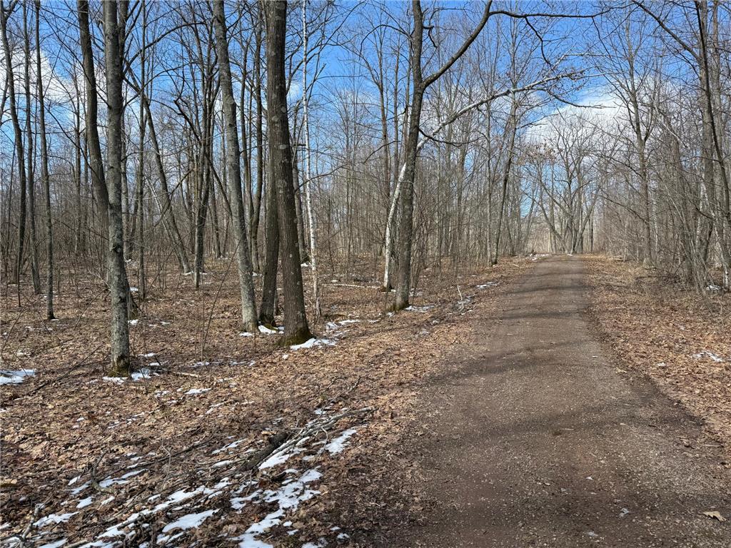 41273 Swede Alley Arlone Twp MN 55037 7049969 image83