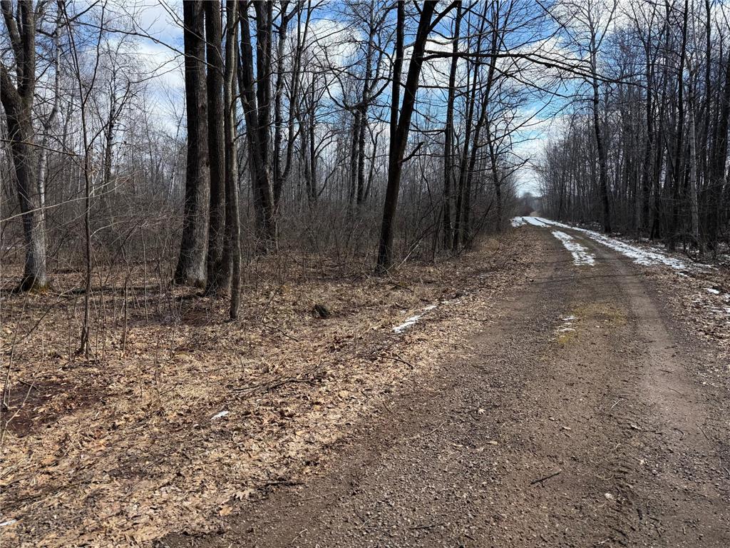 41273 Swede Alley Arlone Twp MN 55037 7049969 image84