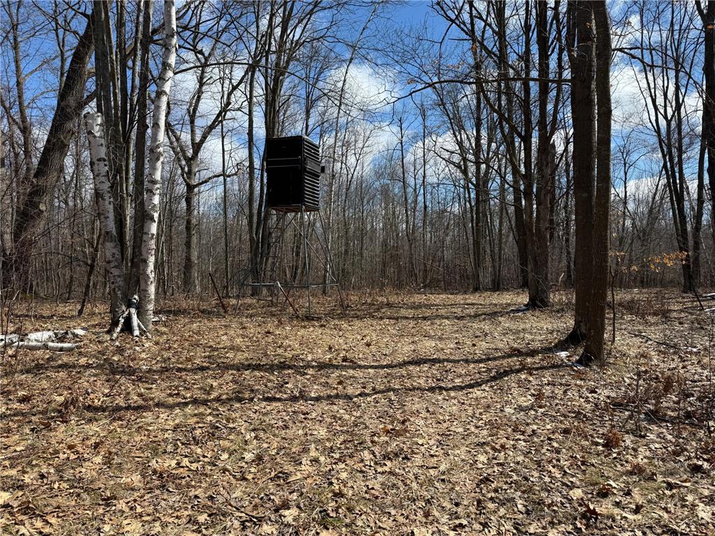 41273 Swede Alley Arlone Twp MN 55037 7049969 image85