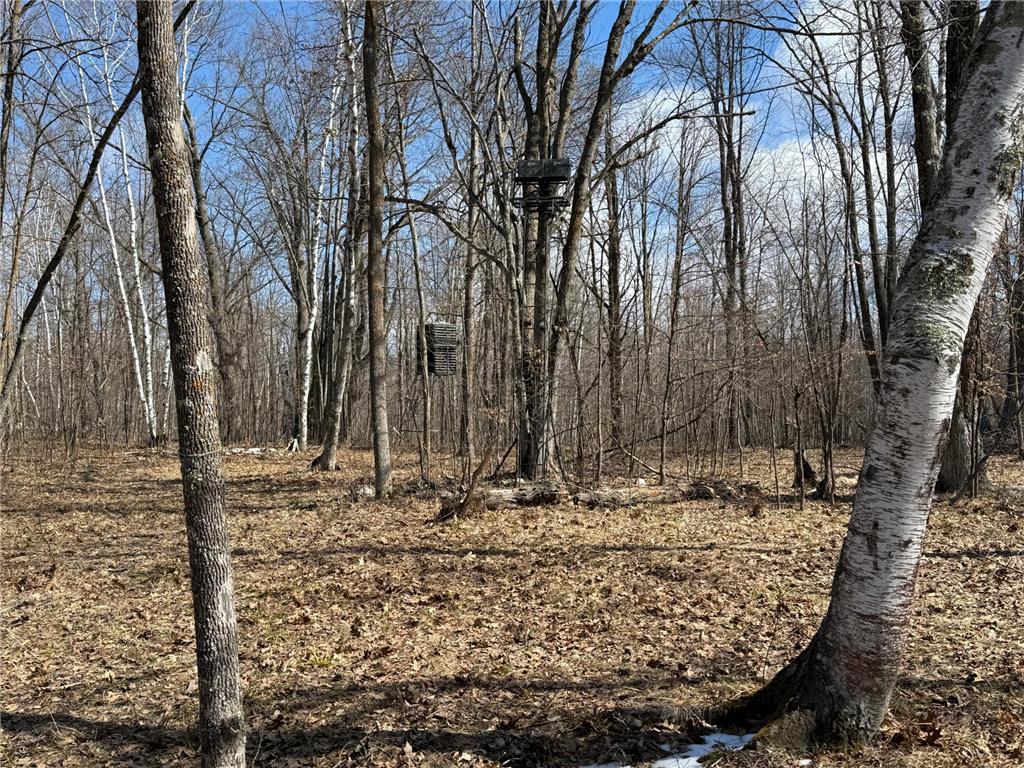 41273 Swede Alley Arlone Twp MN 55037 7049969 image86