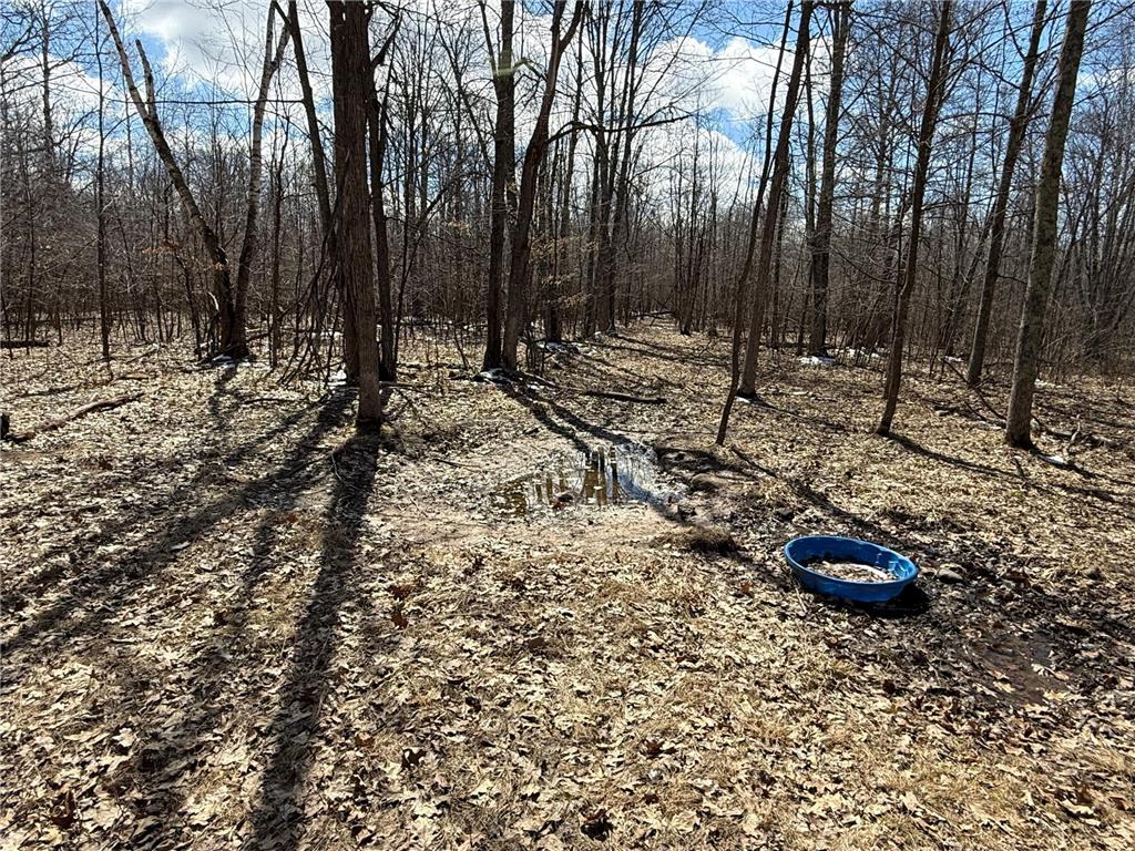 41273 Swede Alley Arlone Twp MN 55037 7049969 image87