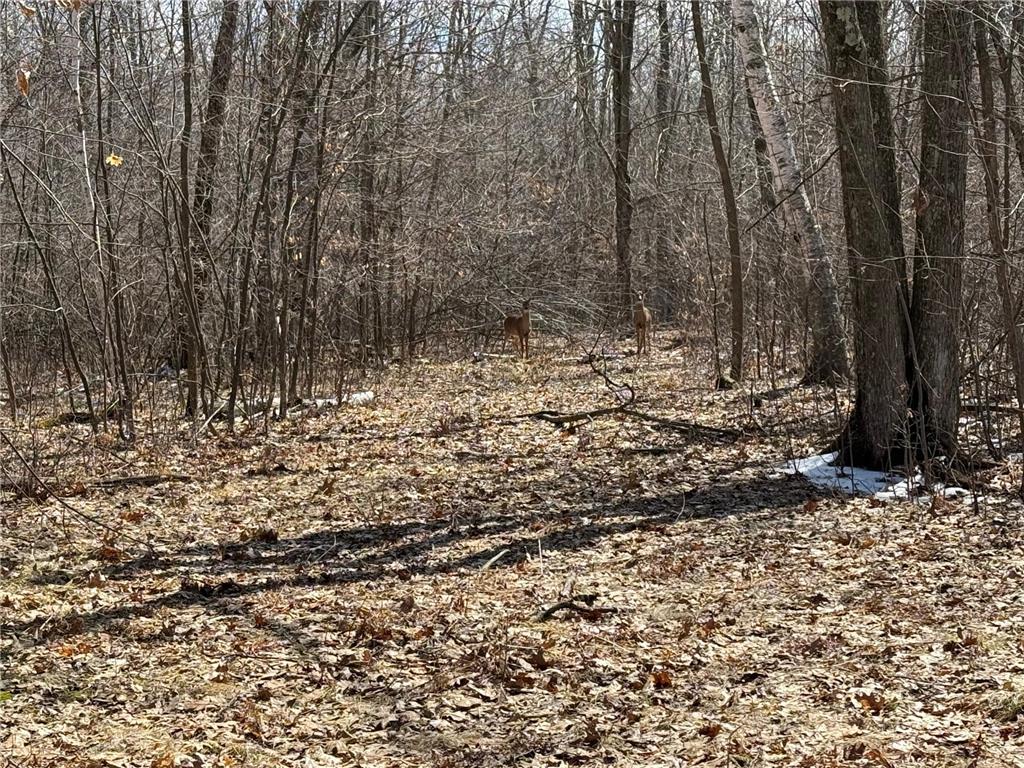 41273 Swede Alley Arlone Twp MN 55037 7049969 image88