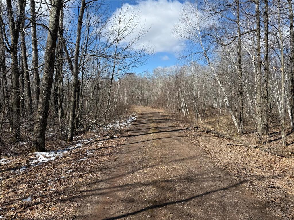 41273 Swede Alley Arlone Twp MN 55037 7049969 image89