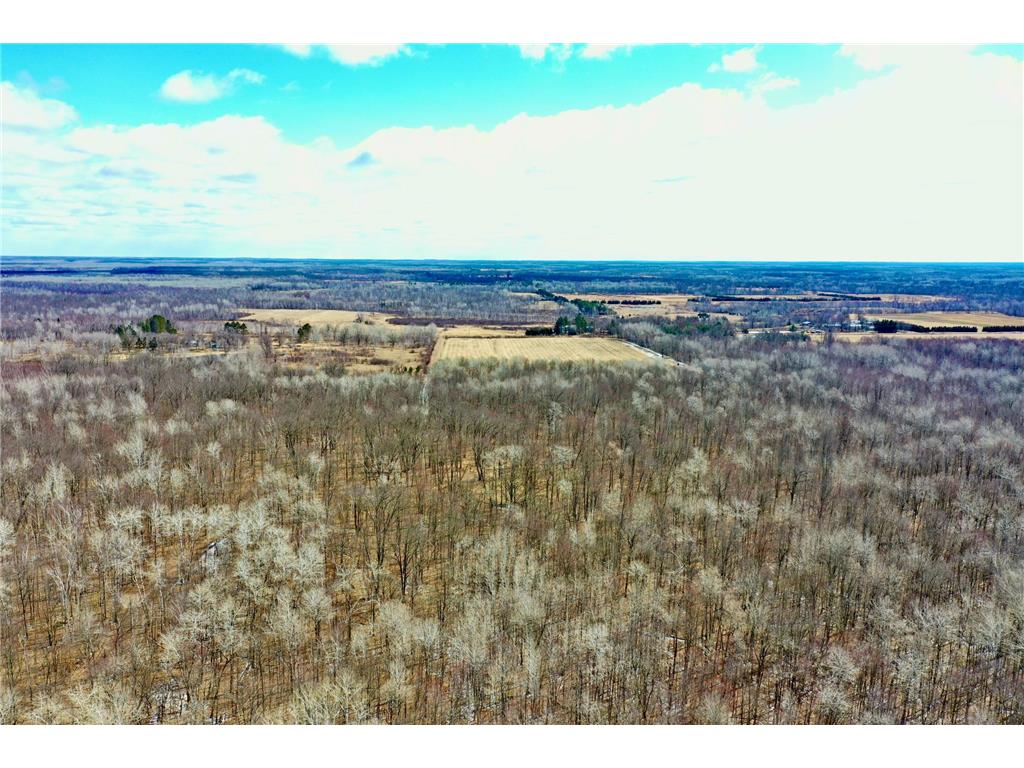 41273 Swede Alley Arlone Twp MN 55037 7049969 image9