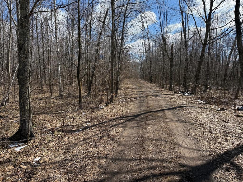 41273 Swede Alley Arlone Twp MN 55037 7049969 image90