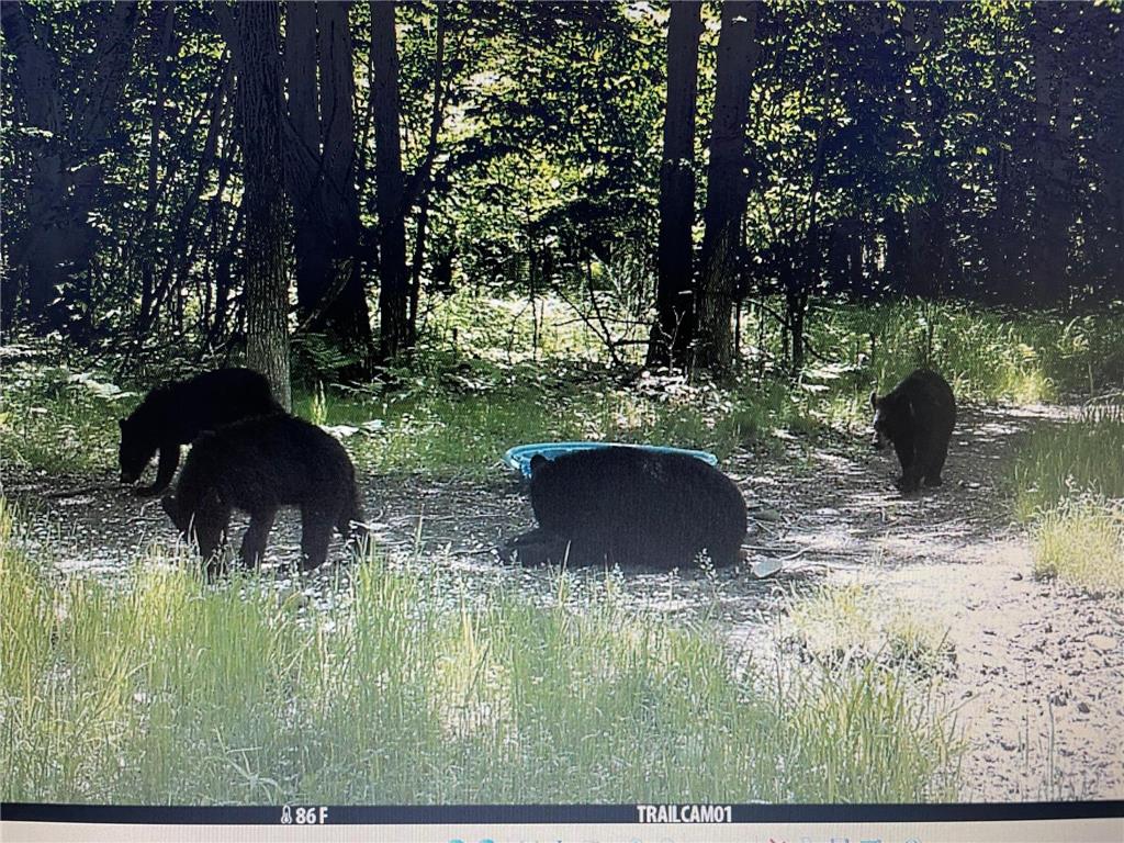 41273 Swede Alley Arlone Twp MN 55037 7049969 image96