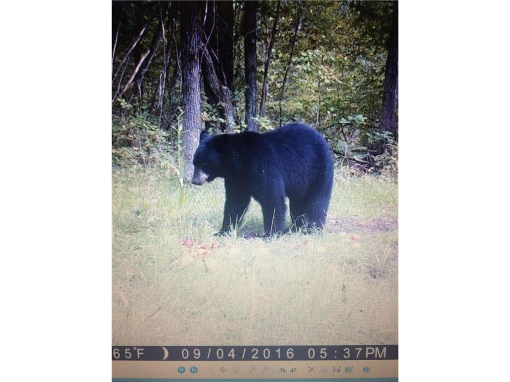 41273 Swede Alley Arlone Twp MN 55037 7049969 image99