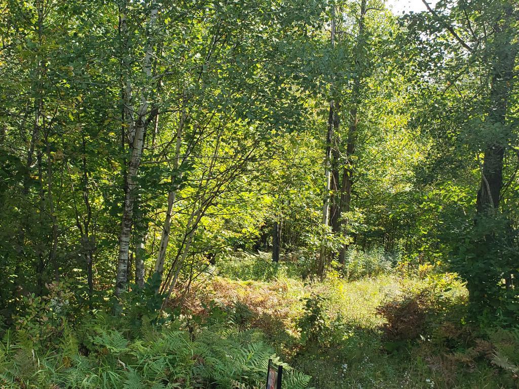 41286 Yellow Birch Lane, Emily, MN 56447 MLS 4998143 Edina Realty