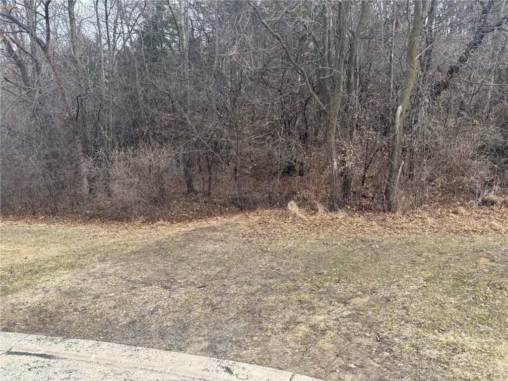 413 Northern Hills Court Saint Charles MN 55972 6686383 image4