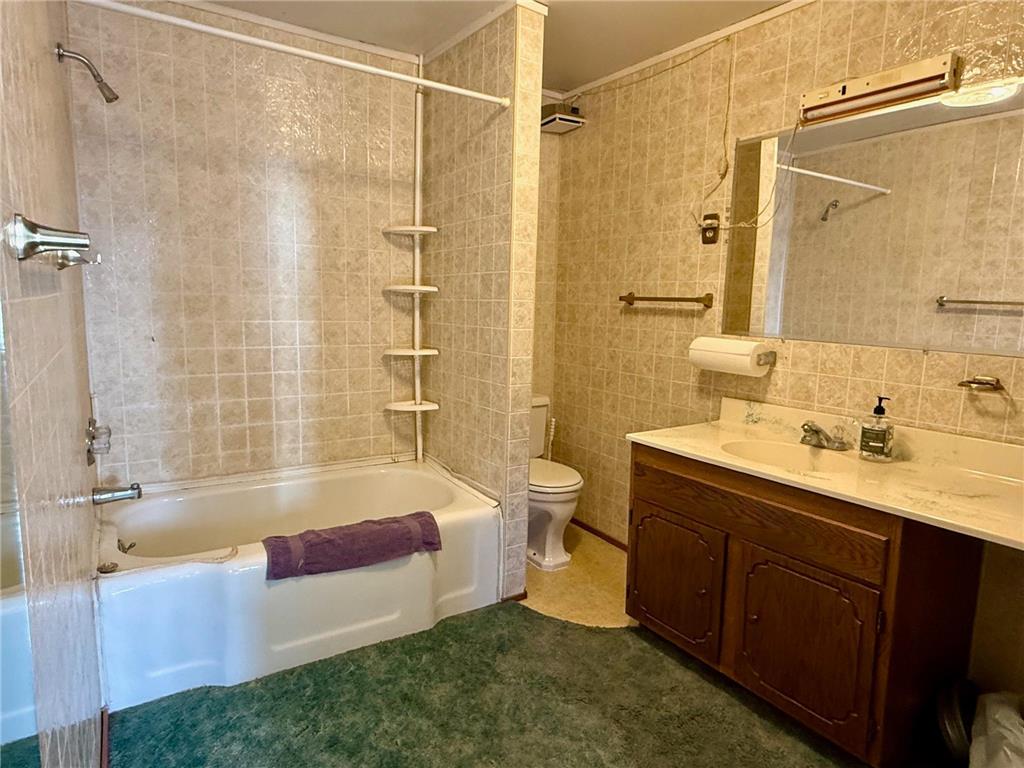 413 Pacific Avenue Randall MN 56475 7039608 image29