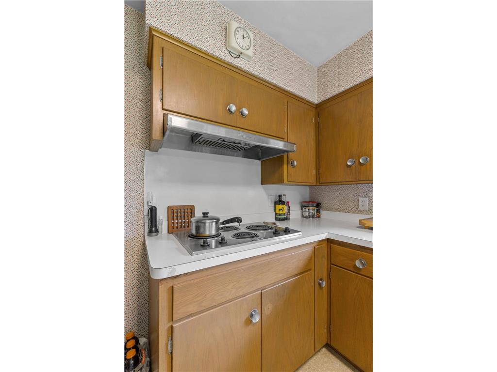 413 Whitegate Lane Minnetonka MN 55391 7105638 image23