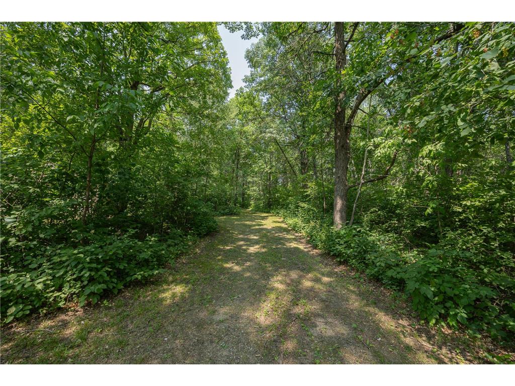 4134 Division Street W Powers Twp MN 56435 7115361 image14