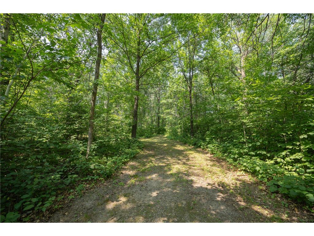 4134 Division Street W Powers Twp MN 56435 7115361 image16