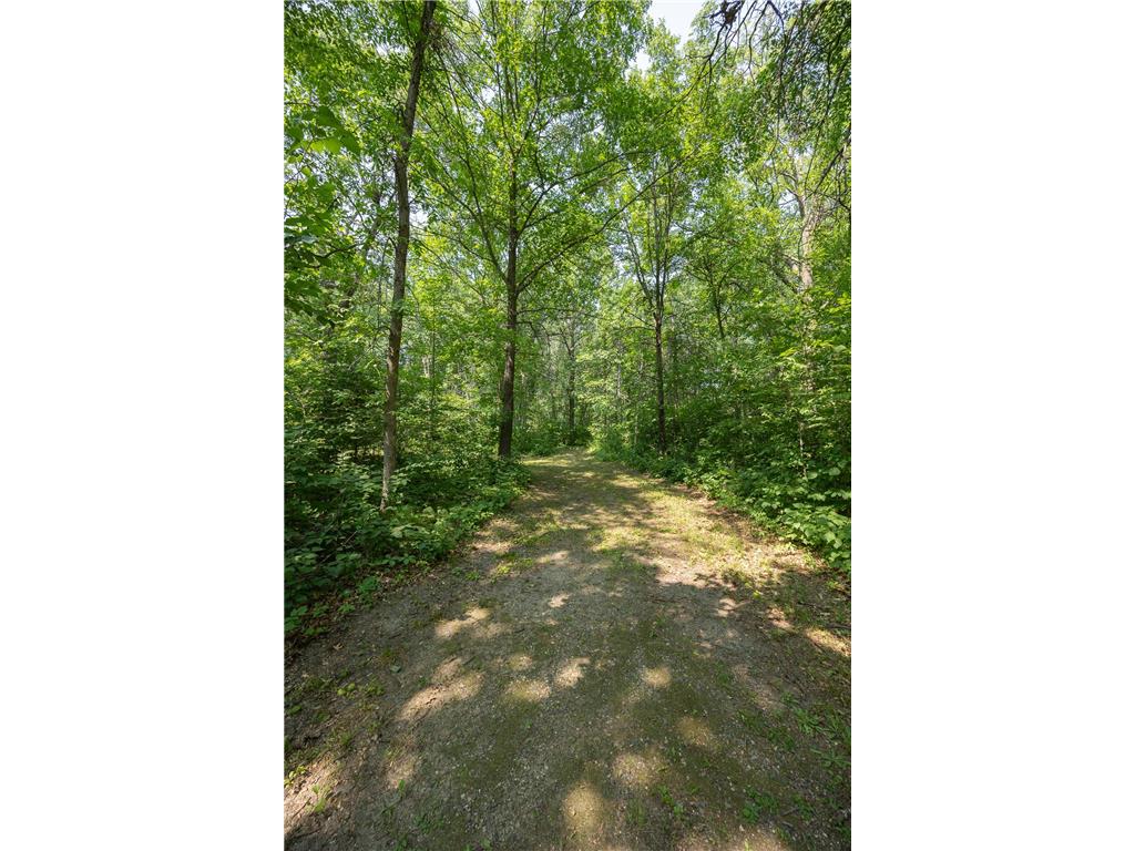 4134 Division Street W Powers Twp MN 56435 7115361 image17