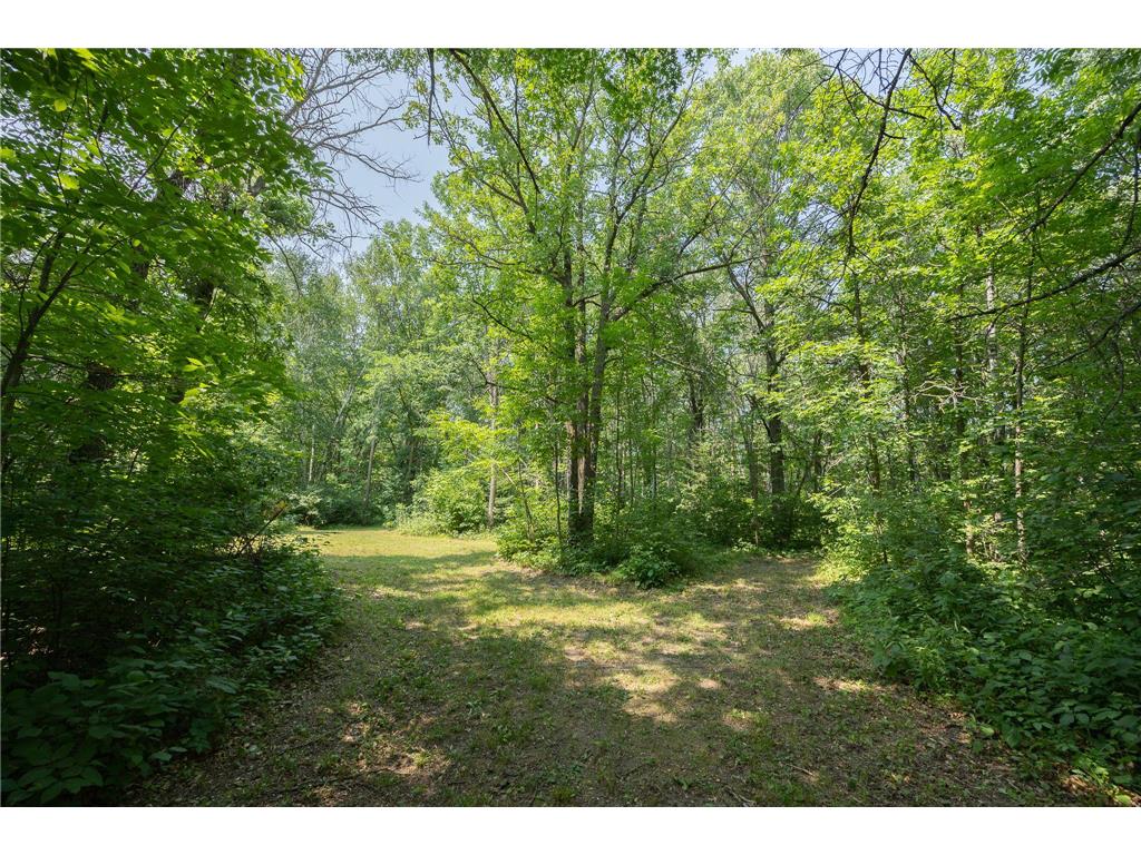 4134 Division Street W Powers Twp MN 56435 7115361 image18