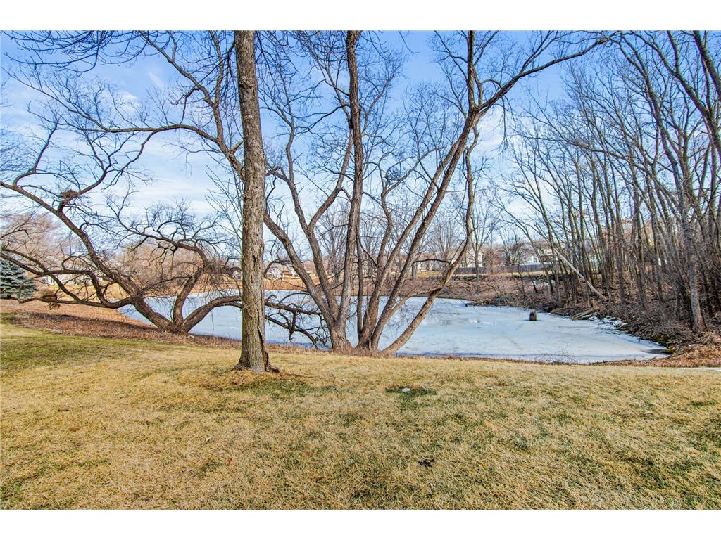 4134 Oakbrooke Trail Eagan MN 55122 7031179 image34