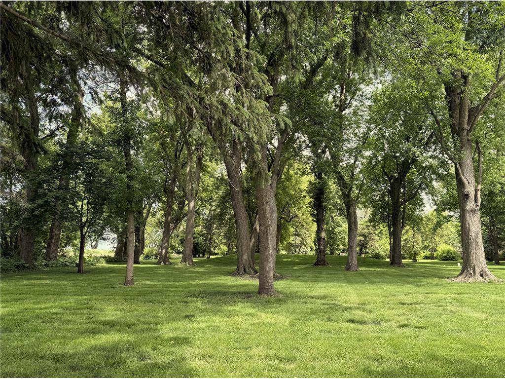 41347 US Hwy 71 N Windom MN 56101 7084763 image49