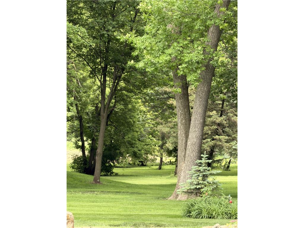 41347 US Hwy 71 N Windom MN 56101 7084763 image51