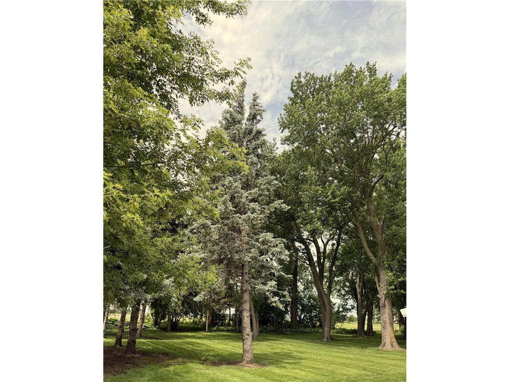 41347 US Hwy 71 N Windom MN 56101 7084763 image54