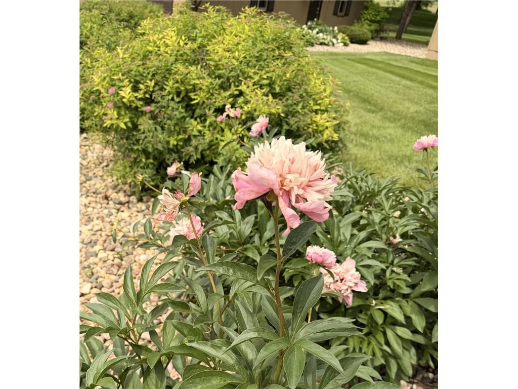 41347 US Hwy 71 N Windom MN 56101 7084763 image62