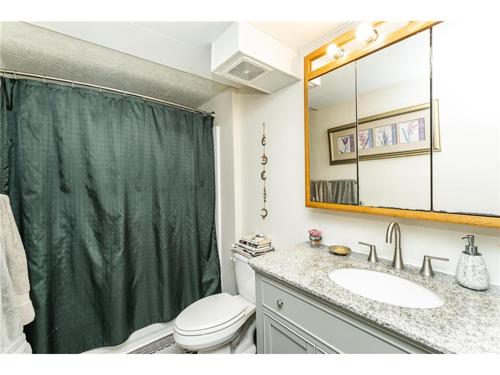 414 12th Avenue SE Rochester MN 55904 7053419 image36