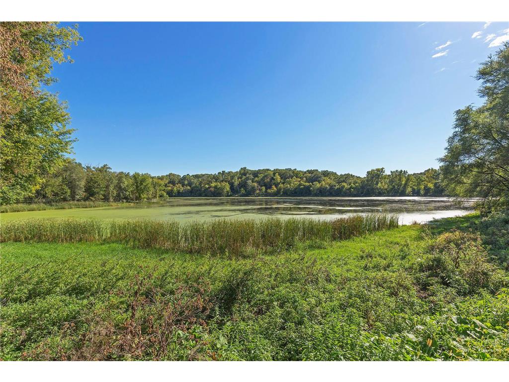 4143 Meadowlark Point Eagan MN 55122 6816281 image28