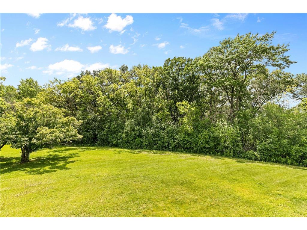 4143 Sylvia Court Shoreview MN 55126 7080562 image28