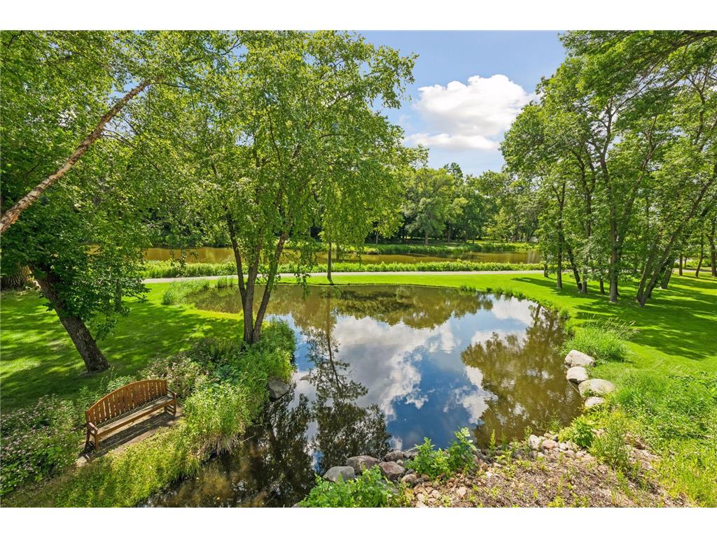 4145 Trillium Lane E Minnetrista MN 55364 - Lake Minnetonka 7073912 image126