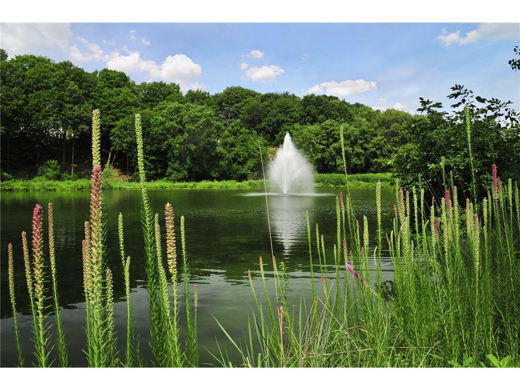 4145 Trillium Lane E Minnetrista MN 55364 - Lake Minnetonka 7073912 image132