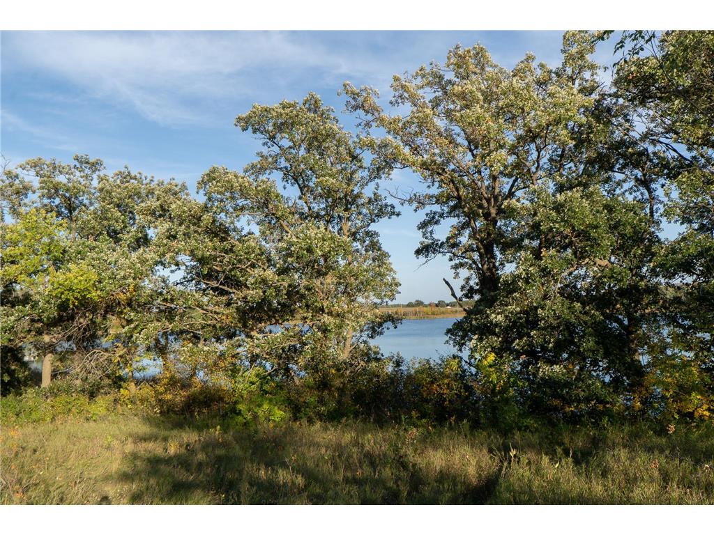 41474 460 Street Perham MN 56573 - Schuster 6792742 image25