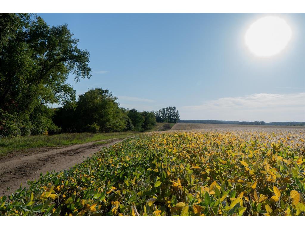 41474 460 Street Perham MN 56573 - Schuster 6792742 image34