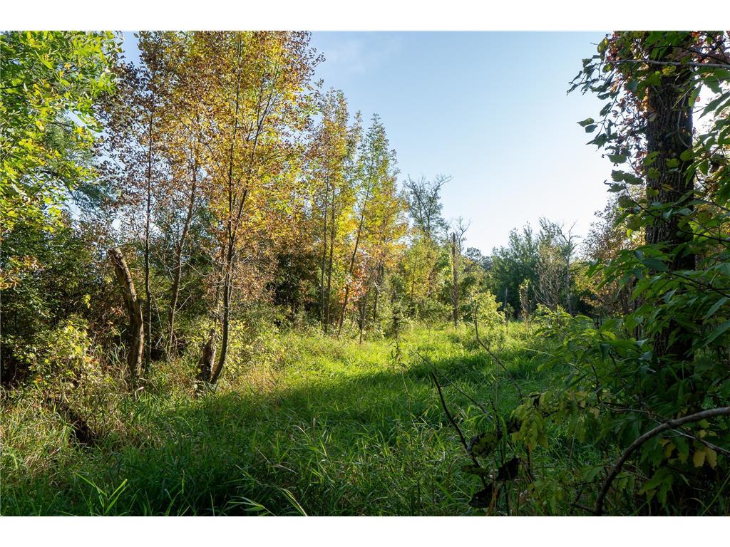 41474 460 Street Perham MN 56573 - Schuster 6792742 image36