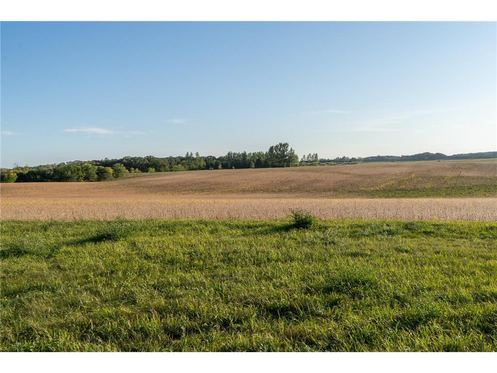 41474 460th Street Perham MN 56573 - Schuster 6790076 image18