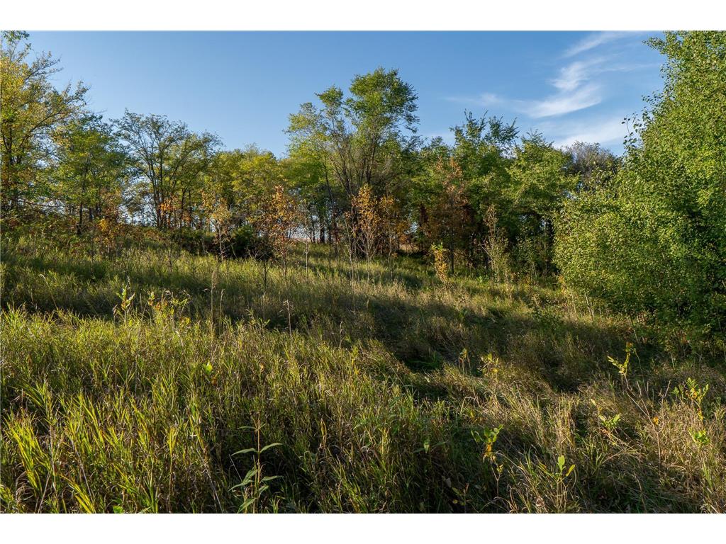 41474 460th Street Perham MN 56573 - Schuster 6790076 image37