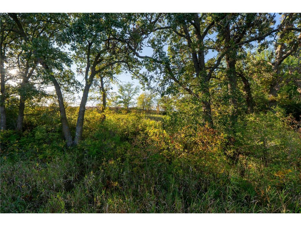 41474 460th Street Perham MN 56573 - Schuster 6790076 image38