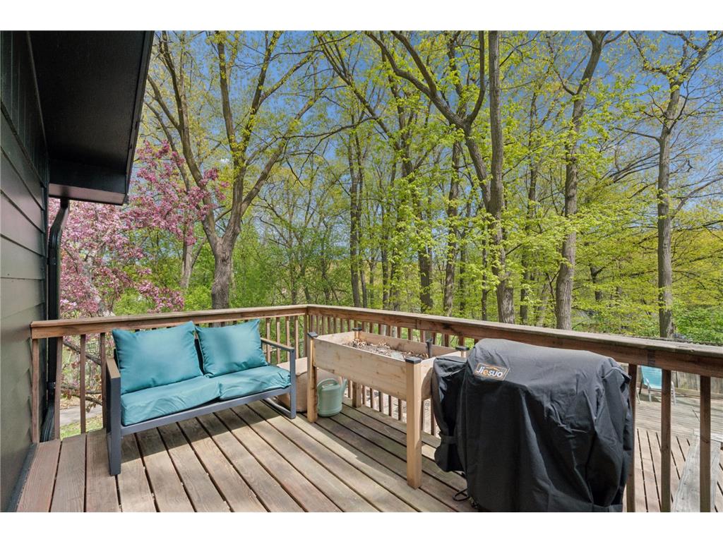 415 Magnolia Lane N Plymouth MN 55441 7098461 image38