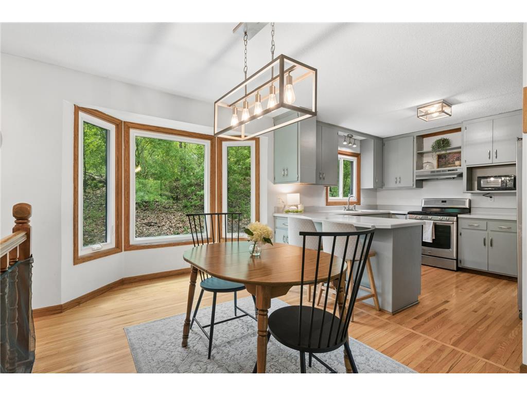 415 Magnolia Lane N Plymouth MN 55441 7098461 image9